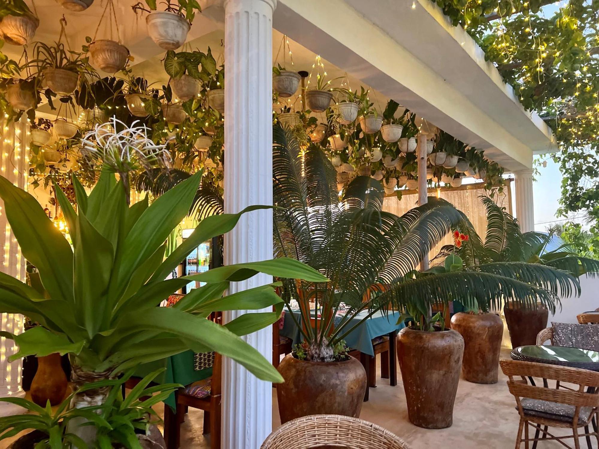 Gadea Boutique Hotel& Gadea Garden Italian Restaurant (Adults Only) Jambiani  Exteriör bild
