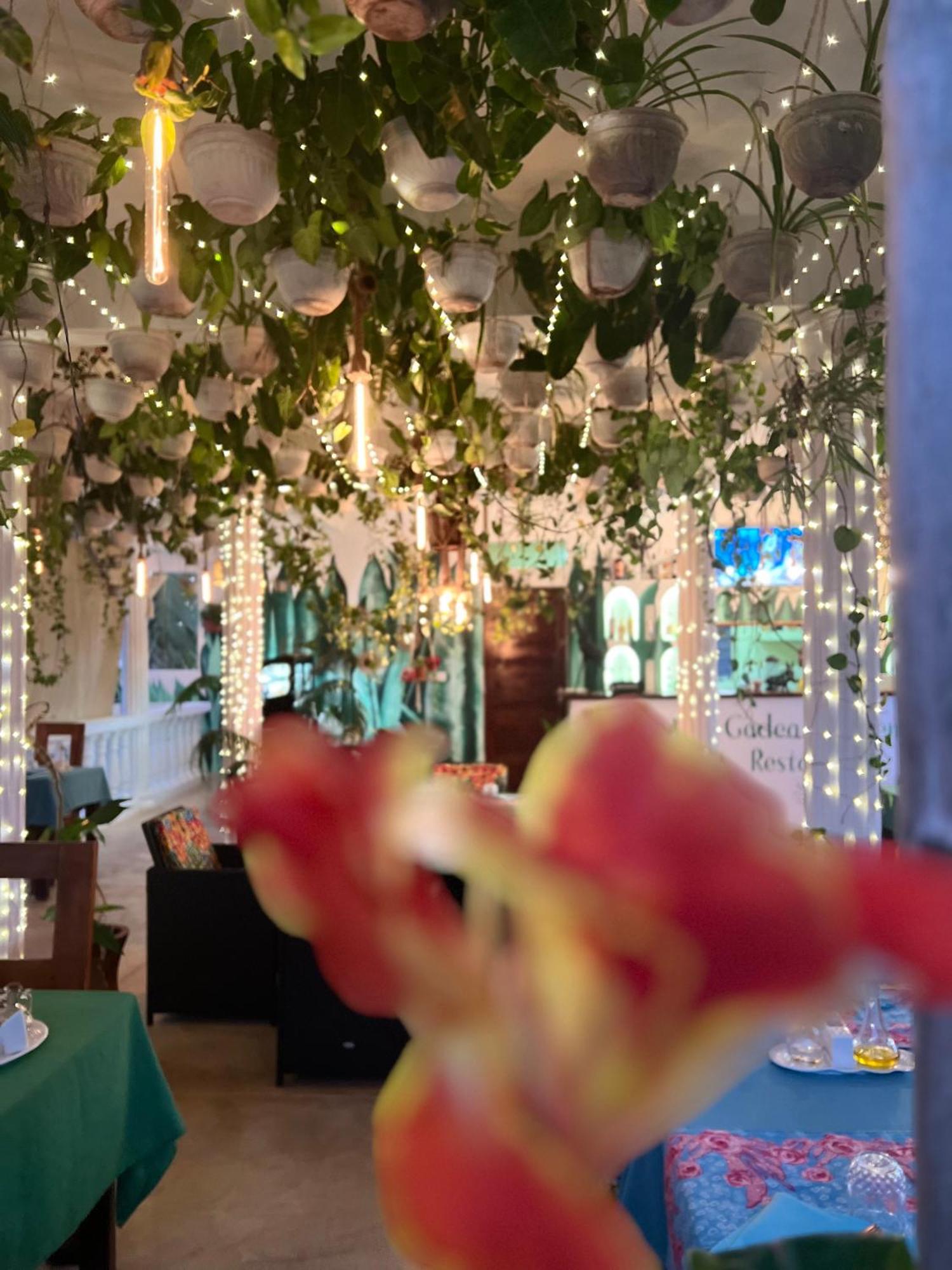 Gadea Boutique Hotel& Gadea Garden Italian Restaurant (Adults Only) Jambiani  Exteriör bild