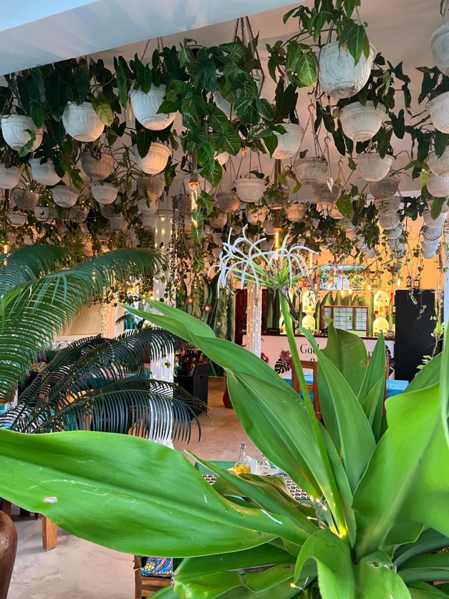 Gadea Boutique Hotel& Gadea Garden Italian Restaurant (Adults Only) Jambiani  Exteriör bild